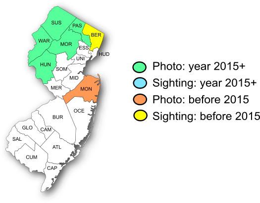 NJ Range Map-Common Ringlet