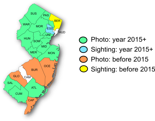 NJ Range Map-European Skipper