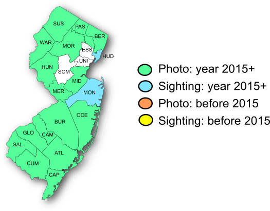 NJ Range Map-Falcate Orangetip