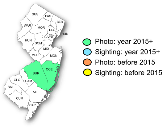 NJ Range Map-Hoary Elfin