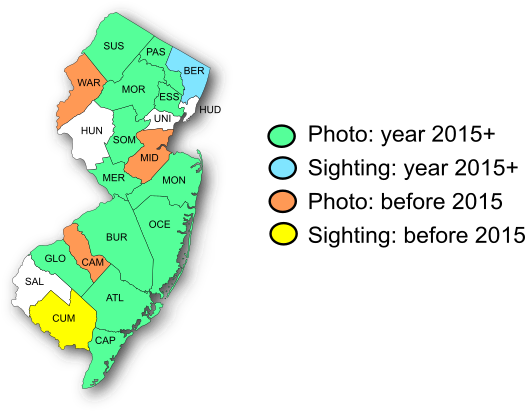 NJ Range Map-Oak Hairstreak