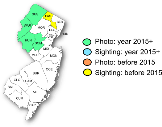 NJ Range Map-Pepper and Salt Skipper
