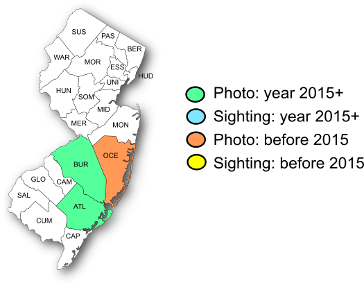NJ Range Map-Two-spotted Skipper