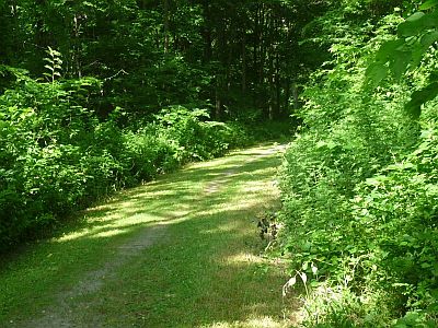Appalachian_Canal_Road