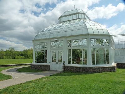 Orchid Greenhouse