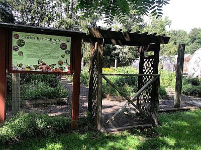 Butterfly Garden