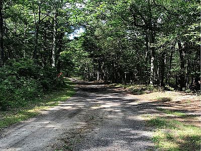 Sand Road at Estell