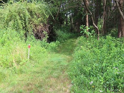Red Trail