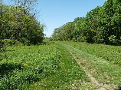 Blackwell Road pipeline