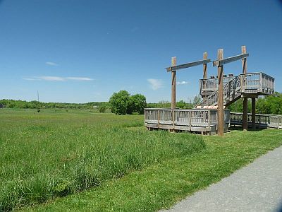 Mercer Meadows observation tower