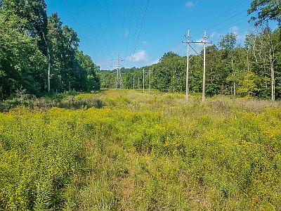 Passic River Powerline