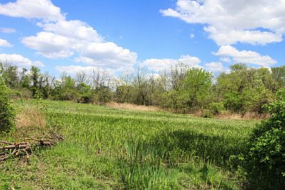 Another Riverwinds Meadow