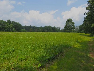 Cherry Street Field