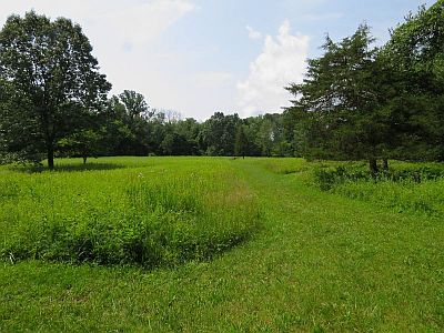 Upper Field