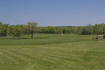 Wagner Farm meadows